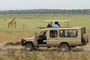 Safari in Akagera