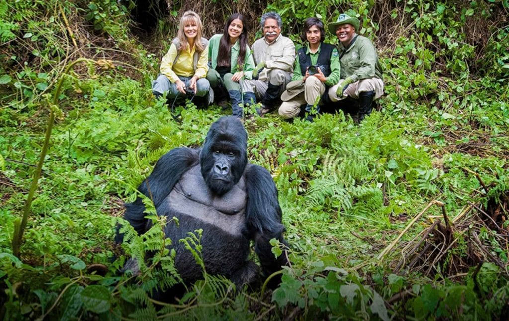 Rwanda Gorilla Trekking & Safari Tours