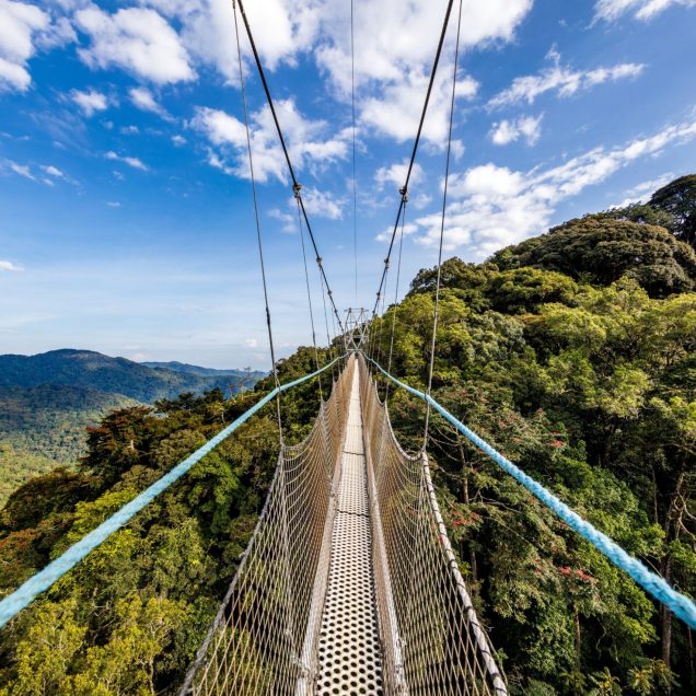 Nyungwe National Park