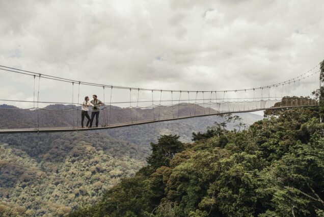 Canopy Walk