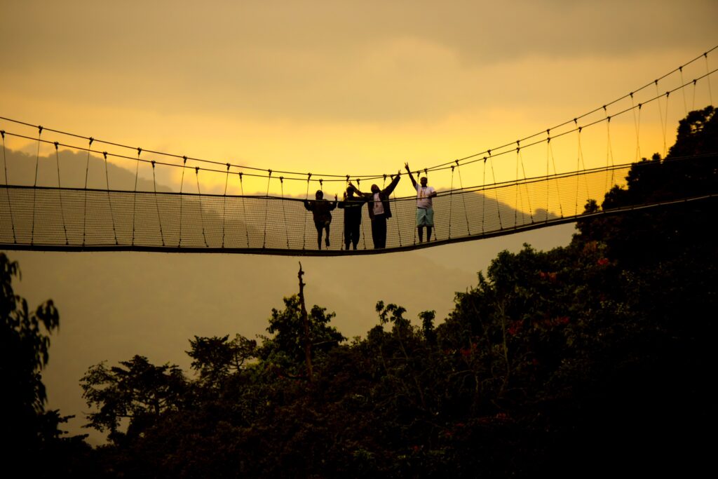 Canopy walk Nyungwe National Park