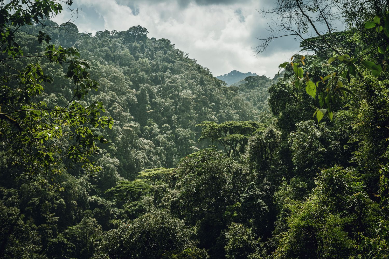 Visit-Rwanda-NH_OO_Activities_Waterfall_Trek_0224_MASTER-1920×1280