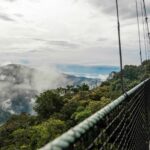 Canopy Walk