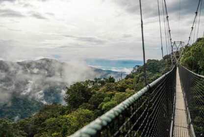 Nyungwe Forest Safari: Visit Rwanda with Rivexcel Tours