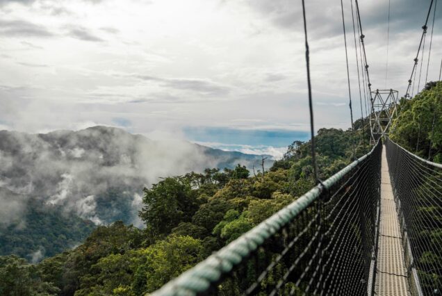 Canopy Walk