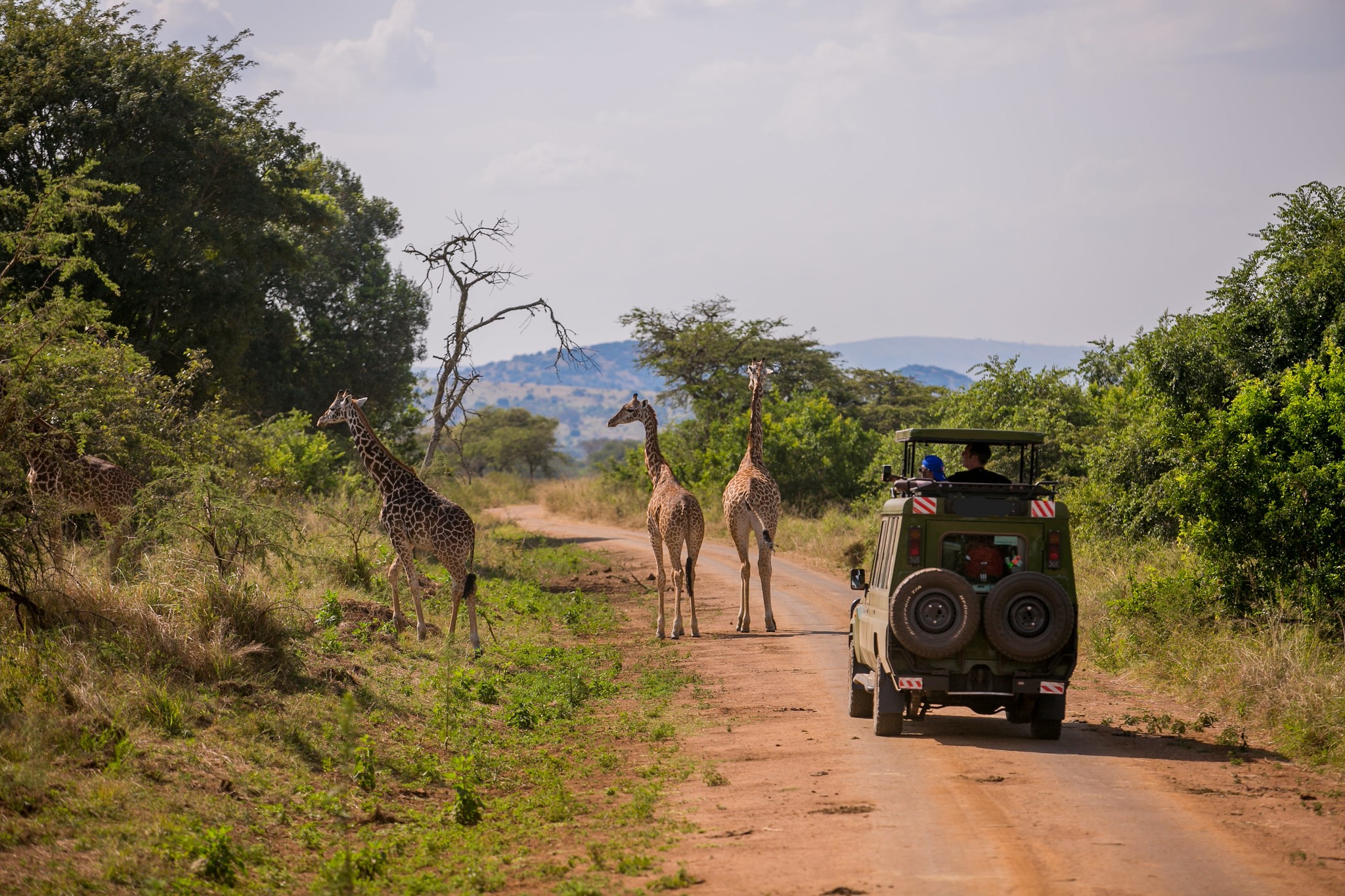 Akagera National Park